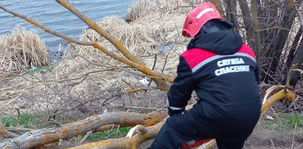 Спасатели ликвидируют последствия падения деревьев после сильного ветра